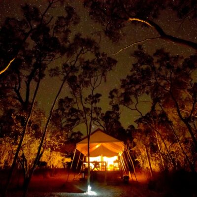 Wild Nature Lodge, Mareeba.