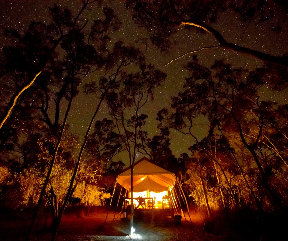 Wild Nature Lodge, Mareeba.