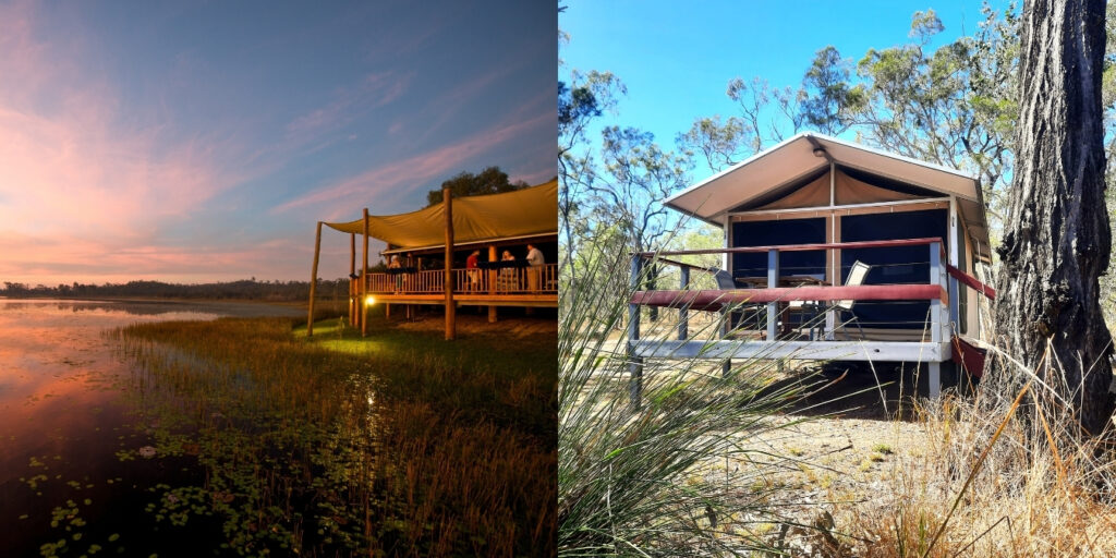 Wild Nature Lodge, Mareeba.